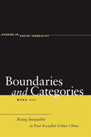 Boundaries and Categories