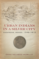 Urban Indians in a Silver City