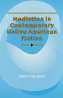 Mediation in Contemporary Native American Fiction