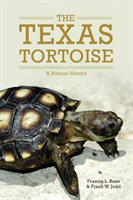 Texas Tortoise