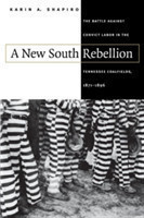 New South Rebellion