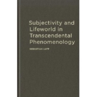 Subjectivity and Lifeworld in Transcendental Phenomenology