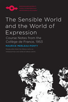 Sensible World and the World of Expression