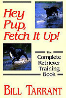Hey Pup, Fetch it Up