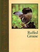 Ruffed Grouse