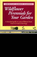 Wildflower Perennials for Your Garden