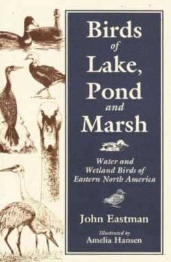 Birds of Lake, Pond and Marsh