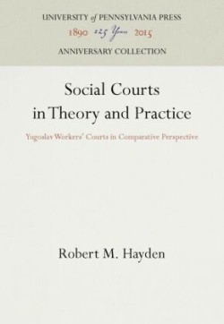 Social Courts in Theory and Practice