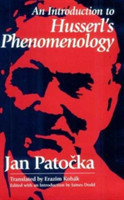 Introduction to Husserl's Phenomenology