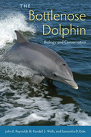 Bottlenose Dolphin