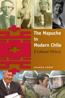 Mapuche in Modern Chile