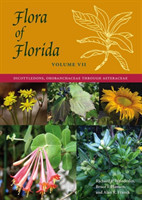 Flora of Florida, Volume VII