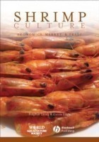 Shrimp Culture