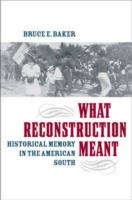 What Reconstruction Meant