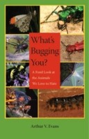 What's Bugging You?