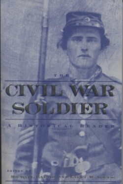 Civil War Soldier