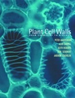 Plant Cell Walls