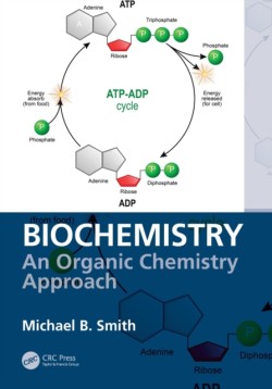 Biochemistry: An Organic Chemistry Approach