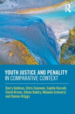 Youth Justice and Penality in Comparative Context