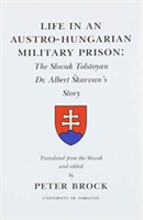 Life in an Austro-Hungarian Military Prison