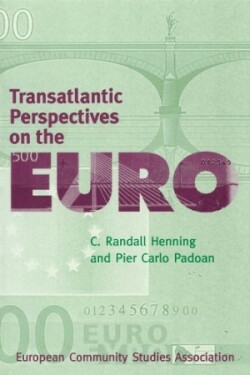 Transatlantic Perspectives on the Euro