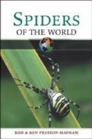 Spiders of World