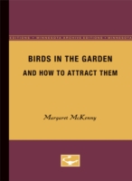 Birds in the Garden and How to Attract them