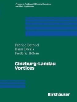 Ginzburg-Landau Vortices