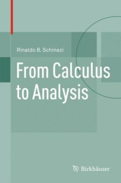 From Calculus to Analysis