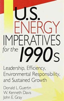 U.S. Energy Imperatives for the 1990s