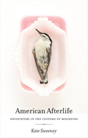 American Afterlife