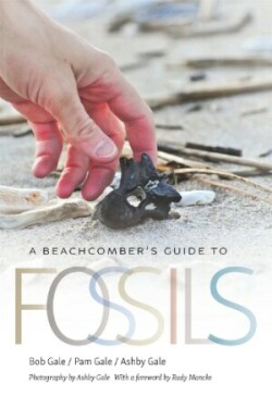 Beachcomber's Guide to Fossils