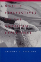 Gothic Perspectives on the American Experience
