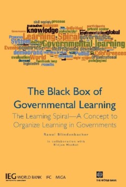 Black Box of Governmental Learning