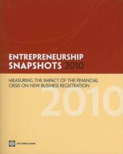 Entrepreneurship Snapshots 2010