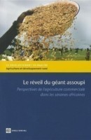 Le réveil du géant assoupi