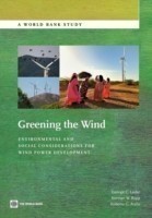 Greening the Wind