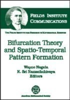 Bifurcation Theory and Spatio-temporal Pattern Formation