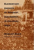 Elementary Aspects of Peasant Insurgency in Colonial India