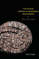 Elusive Promise of Indigenous Development