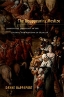 Disappearing Mestizo