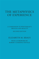 Metaphysics of Experience