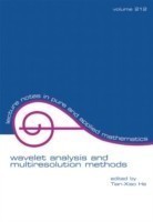 Wavelet Analysis and Multiresolution Methods