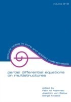 Partial Differential Equations On Multistructures