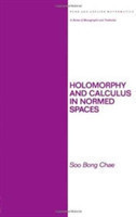 Holomorphy and Calculus in Normed SPates