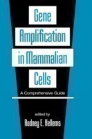 Gene Amplification in Mammalian Cells