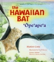 Hawaiian Bat