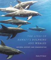 Lives of Hawai‘i's Dolphins and Whales