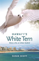Hawai‘i’s White Tern