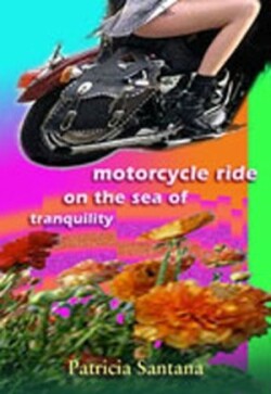 Motorcycle Ride on the Sea of Tranquility
